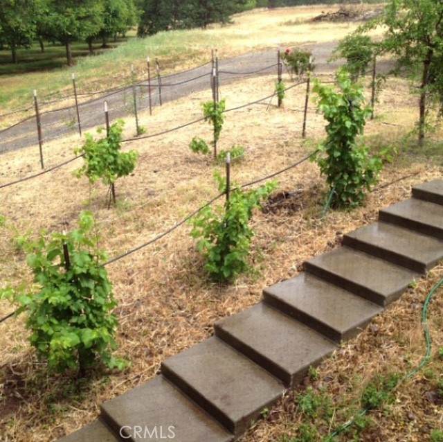 25205 5th Avenue - Photo 1