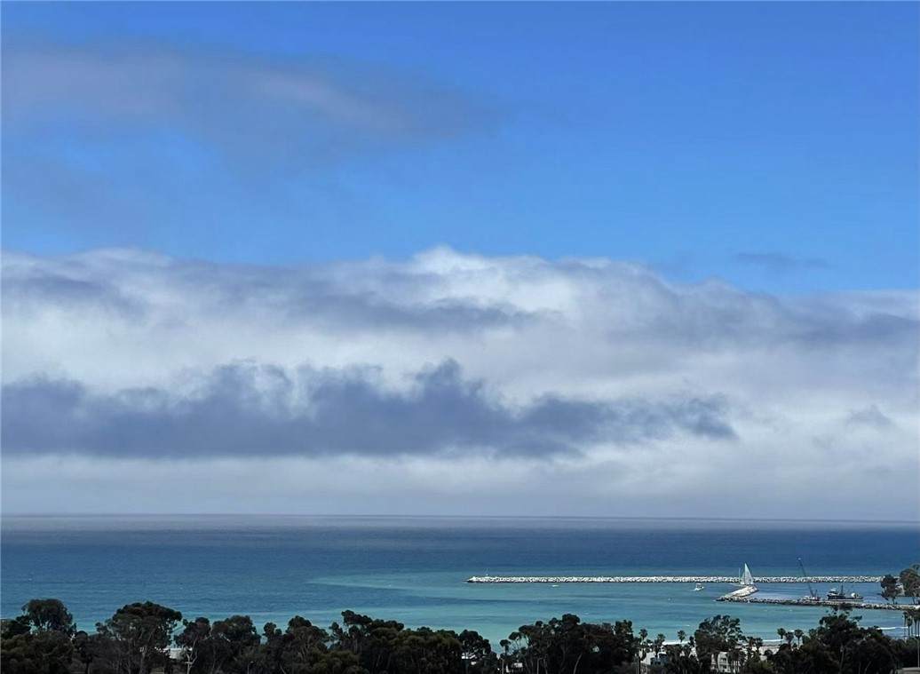 26290 Paseo Sillin - Photo 1