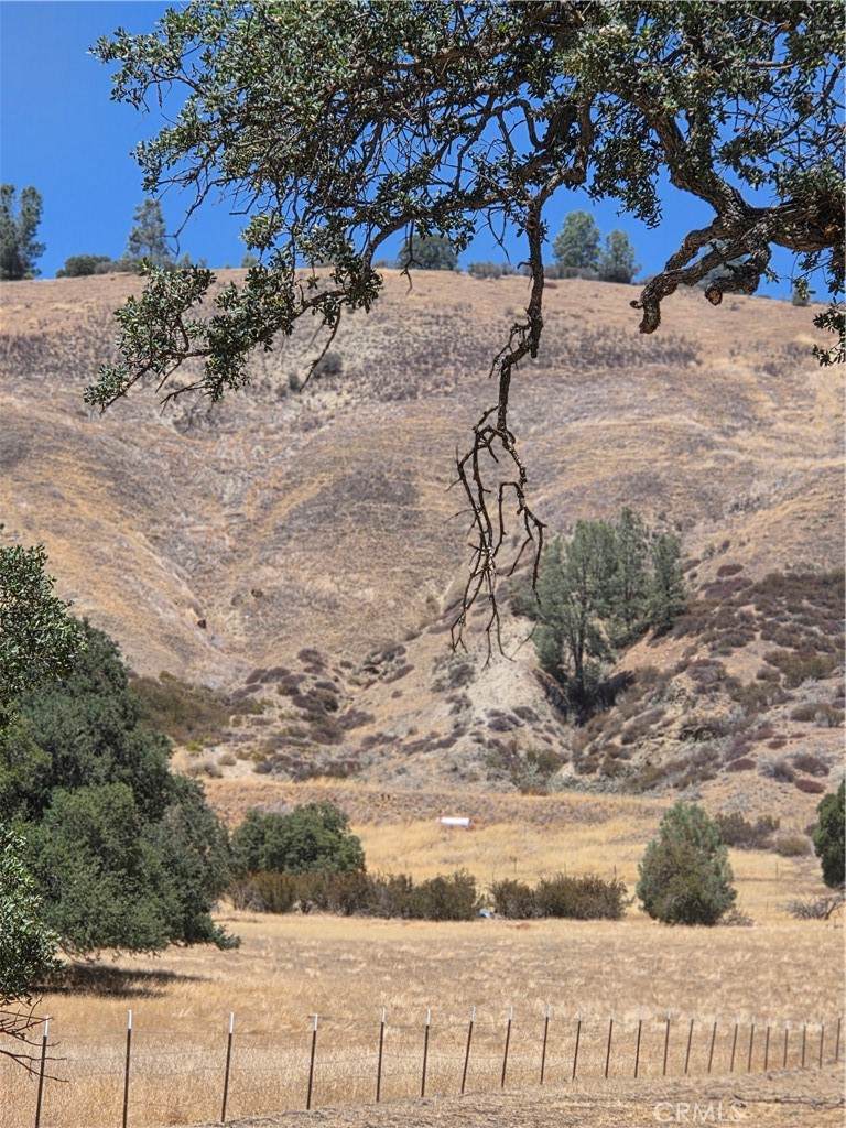 87577 Oak Street - Photo 1