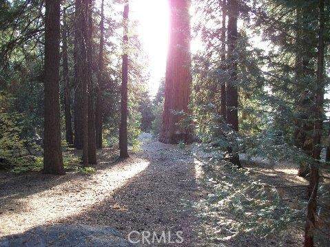 54584 Ponderosa Drive - Photo 1
