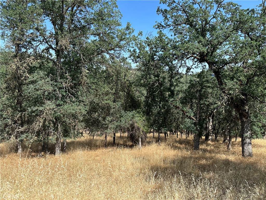 18051 Vista Point Court - Photo 1