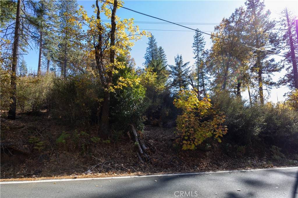 10971 Gifford Springs Road - Photo 1