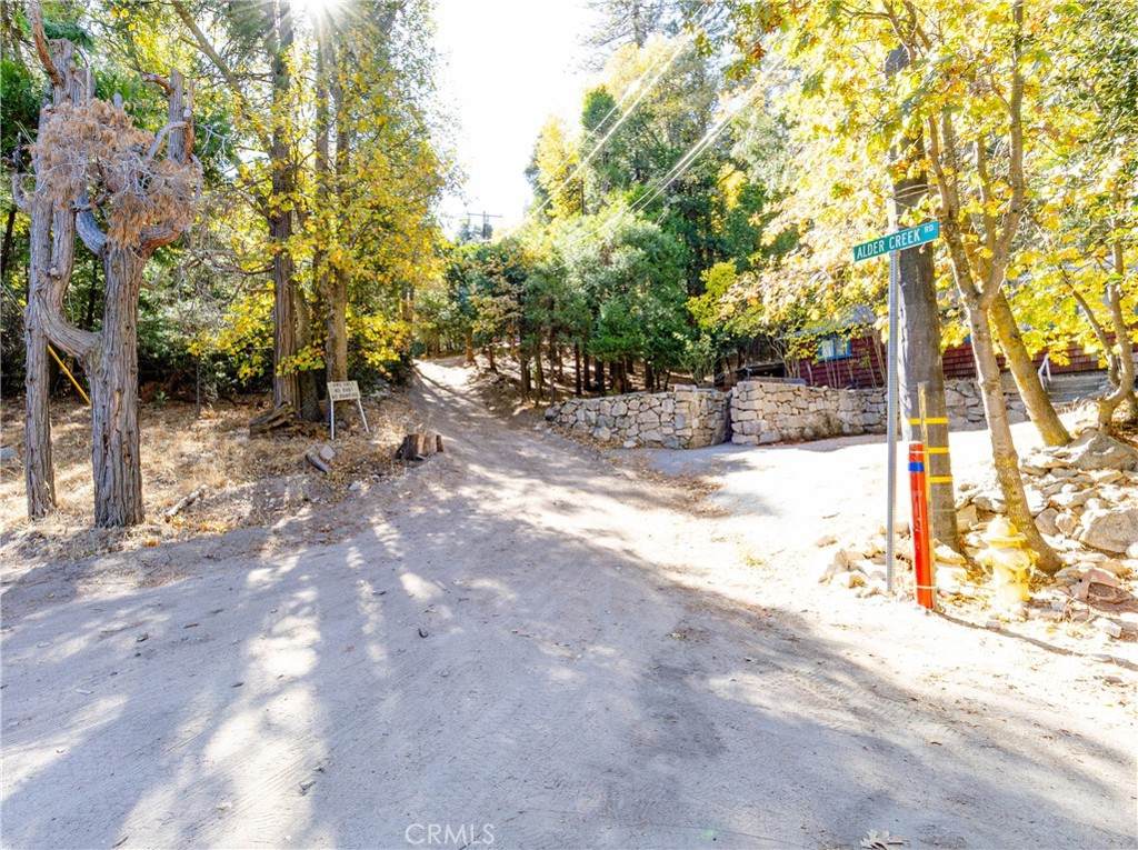 0 Alder Creek Road - Photo 1