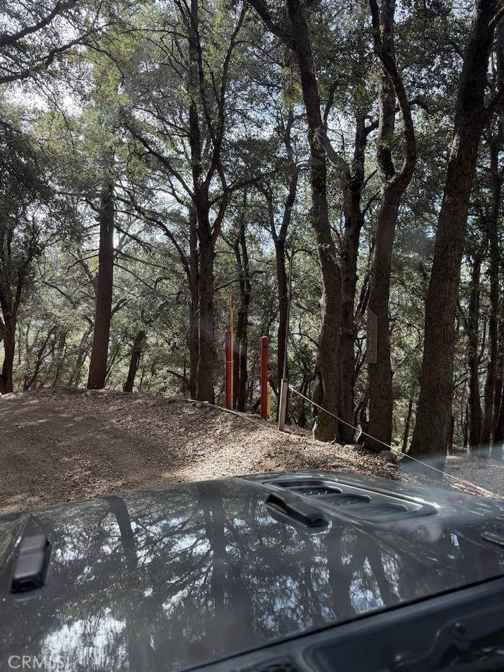 0 Mojave River Road - Photo 1