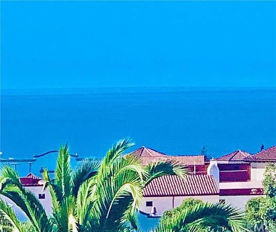 2127 Avenida Espada - Photo 1
