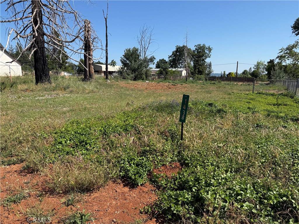 1438 Toni Drive - Photo 1