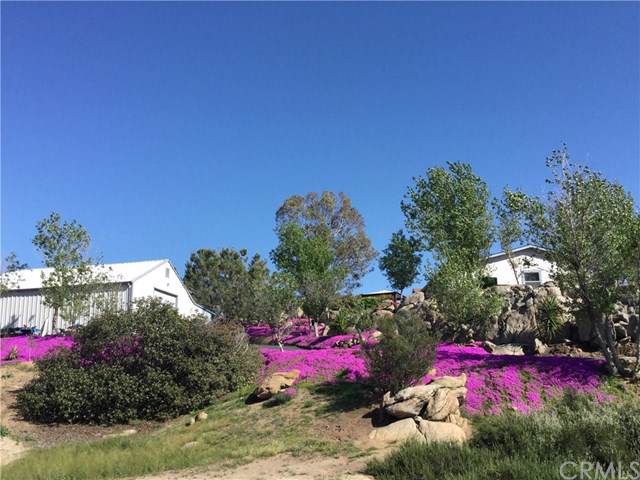 39250 Green Meadow Road - Photo 1