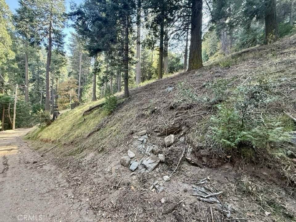 0 Burnt Mill Canyon Road - Photo 1