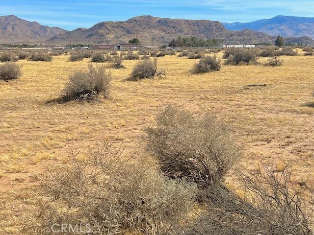 0-0439-013-44-0-0 Ramona Avenue - Photo 1
