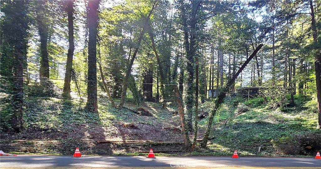 18176 Hwy 116 - Photo 1