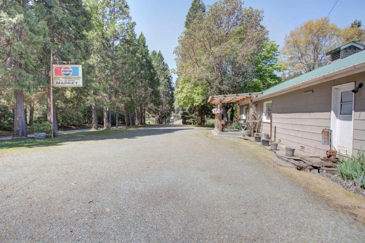 4411 Azalea Glen Road - Photo 1