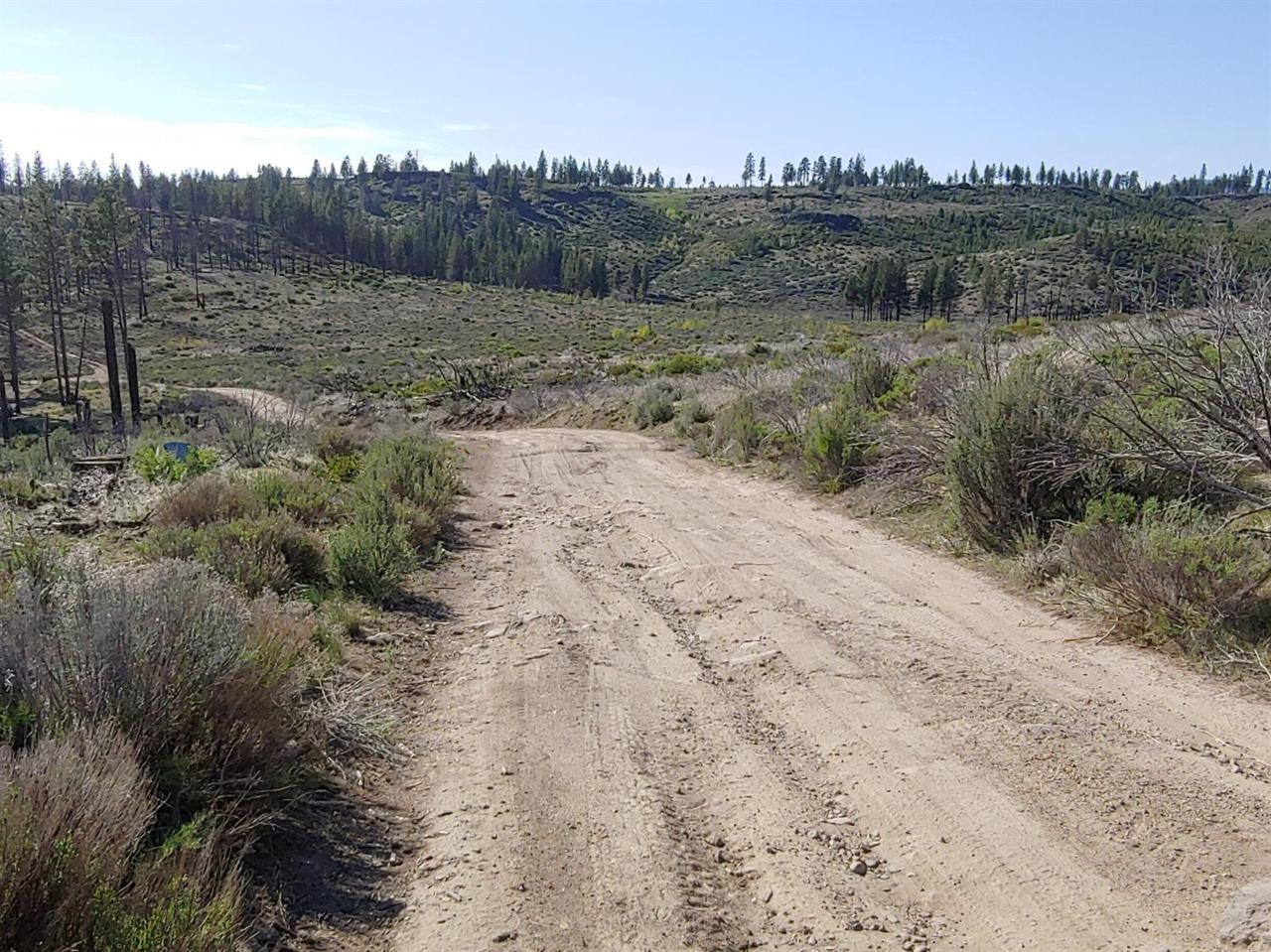 34651 Mule Deer - Photo 1