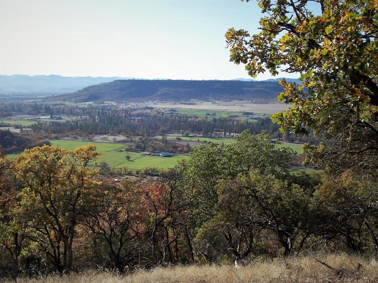 0 Mount Castle - Photo 1