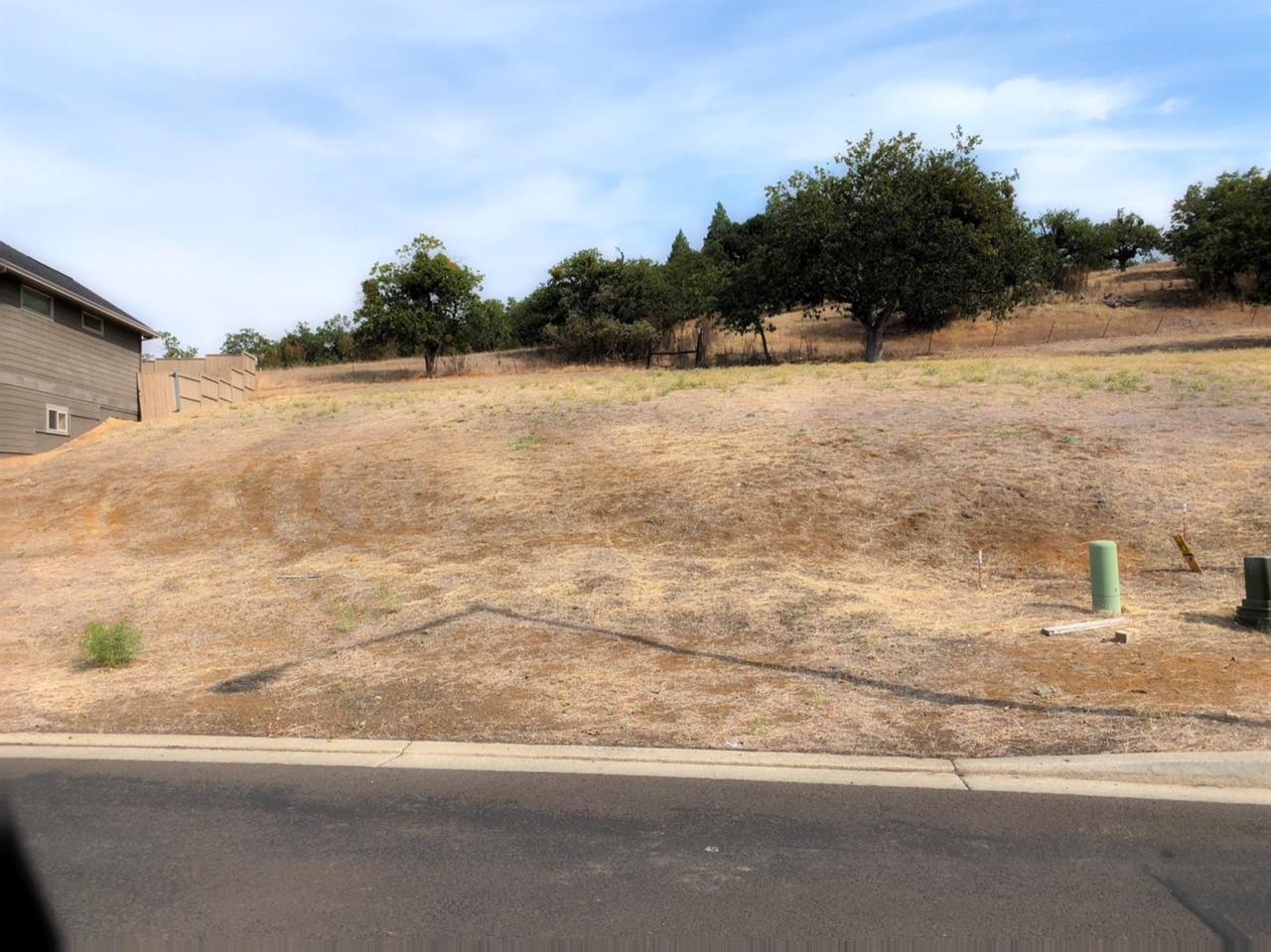 1007 Ruby Meadows - Photo 1