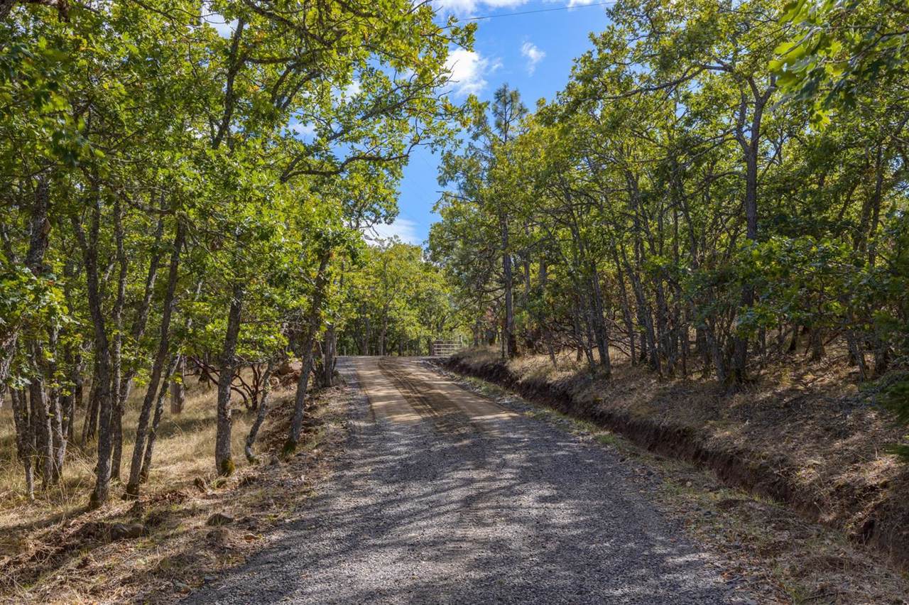 4433 Old Siskiyou Highway - Photo 1