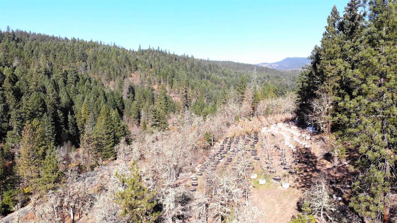 0 Tl 201 Highway 227 - Photo 1
