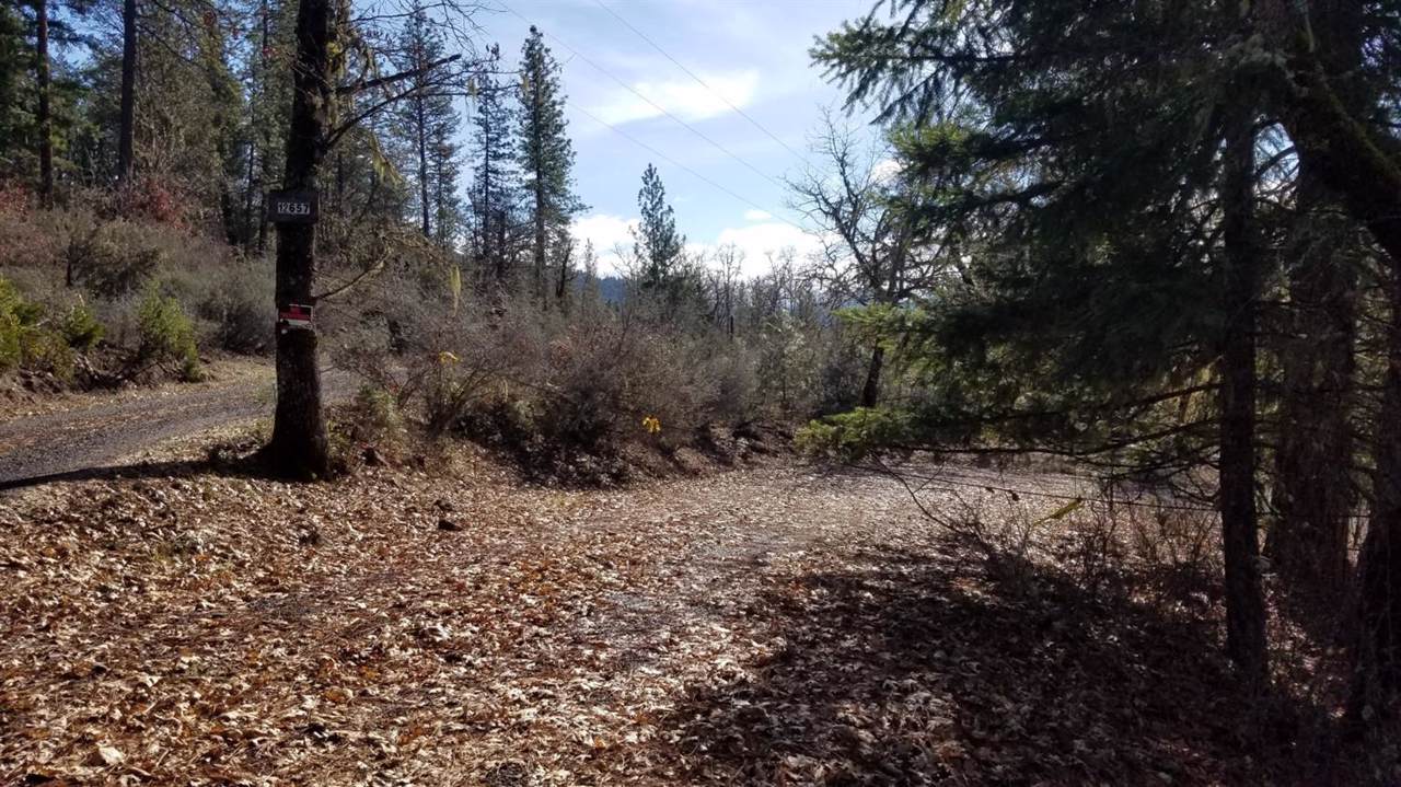 12657 Mc Neil Creek Road - Photo 1