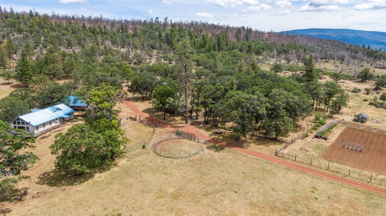 9921 Copco Road - Photo 1