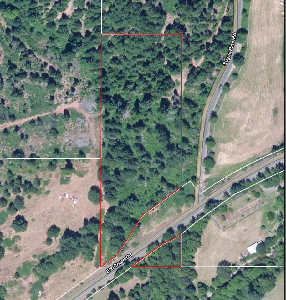 11247 Elk Creek - Photo 1