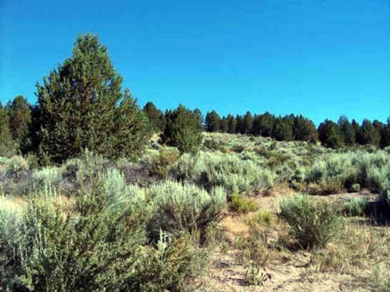0 Drews Rd Lot 12 - Photo 1