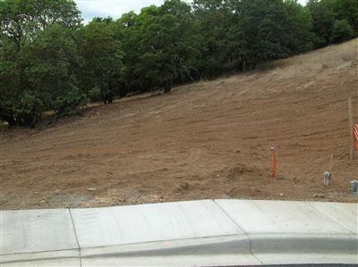856 Jacoby - Photo 1