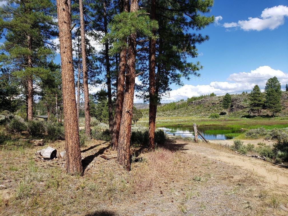 33336 Indian Lakes - Photo 1