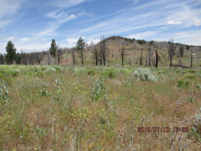 0-Lot 8 Mountain Trout - Photo 1