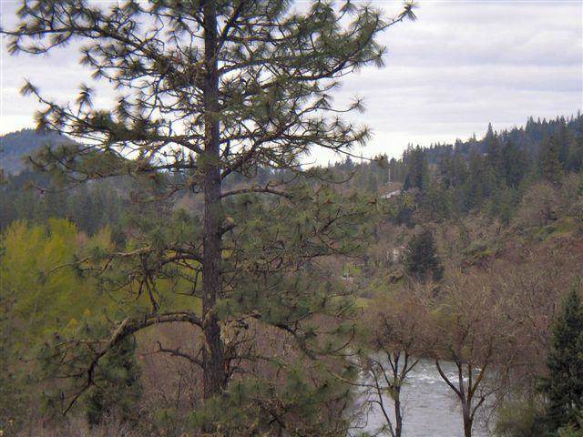 24269 Highway 62 - Photo 1