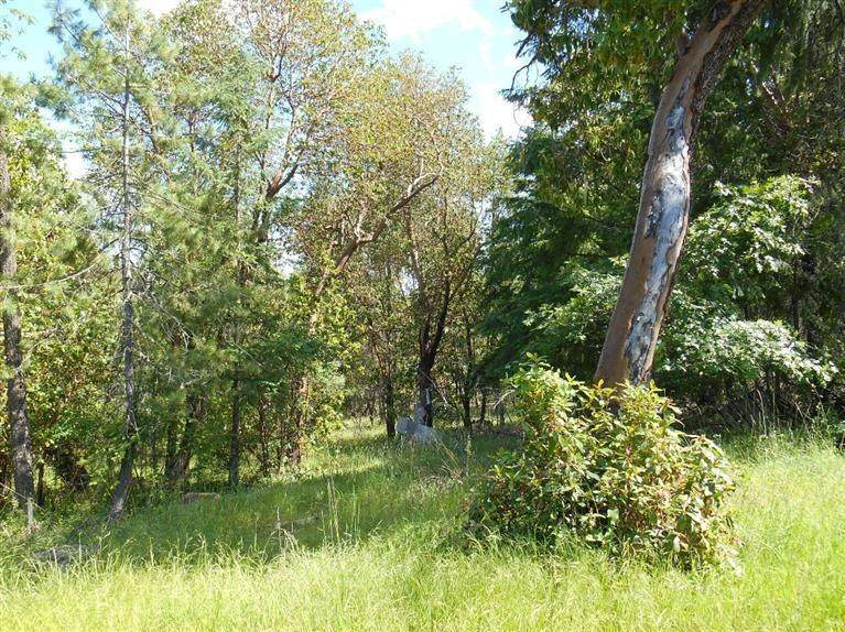 101 W. Trail Cr. - Photo 1