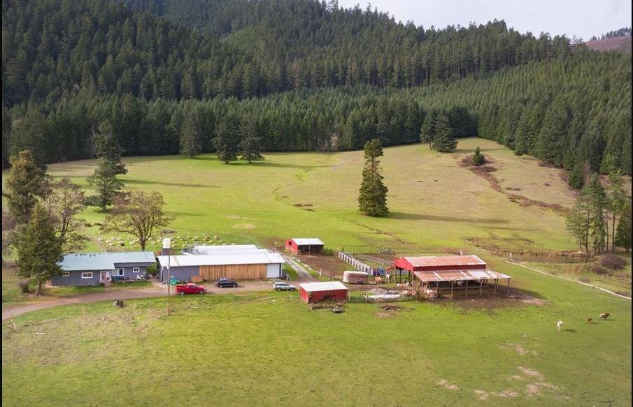 6588 Upper Cow Creek - Photo 1