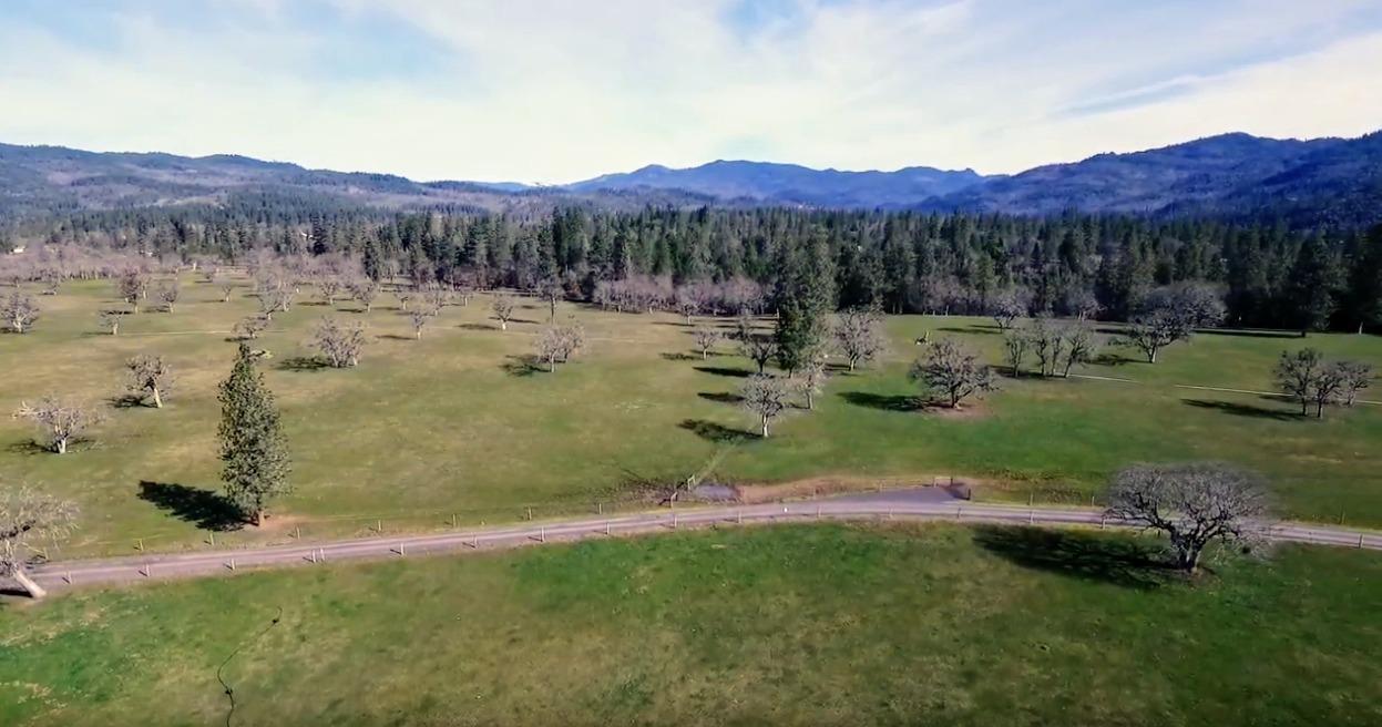 5180 Rogue River Drive - Photo 1