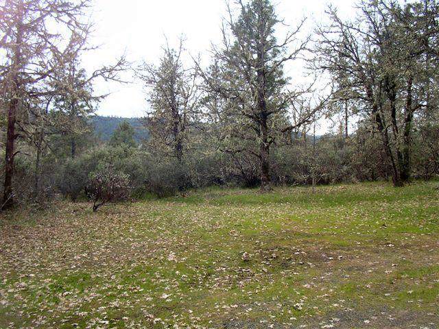 24277 Highway 62 - Photo 1
