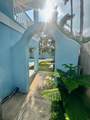 219 Oleander St. - Photo 6