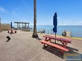 205 Kingfish St. - Photo 17