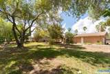 74 Wild Olive Lane - Photo 33