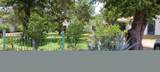 917 First Street - Photo 2