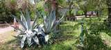 917 First Street - Photo 3