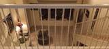 301 Houston St. - Photo 40