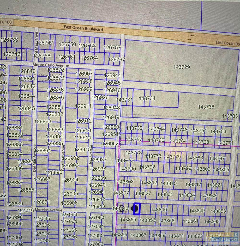 TBD Bosque Ave. - Photo 1