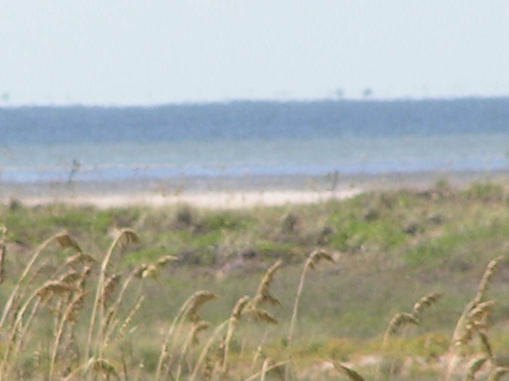 https://bt-photos.global.ssl.fastly.net/southpadre/orig_boomver_1_104359-2.jpg