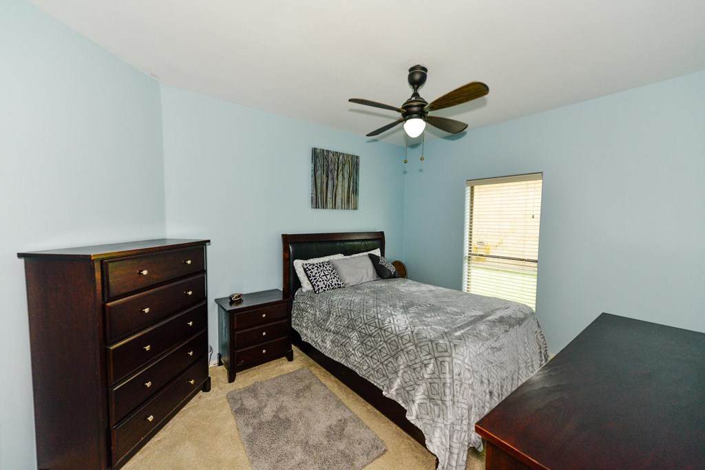 https://bt-photos.global.ssl.fastly.net/southpadre/orig_boomver_1_106302-2.jpg
