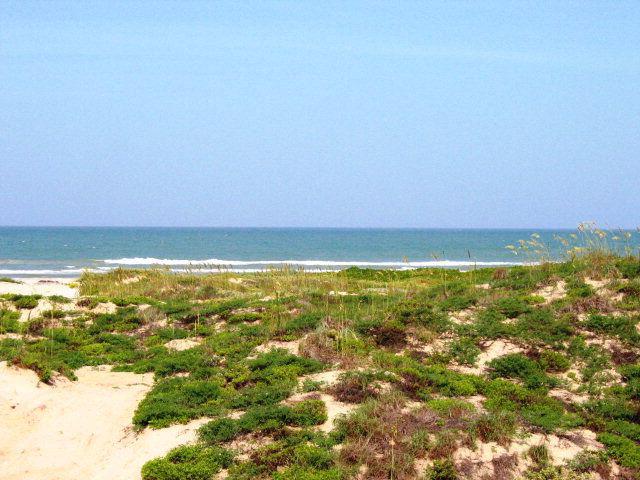 Tract 26 Highway 100 - Photo 1
