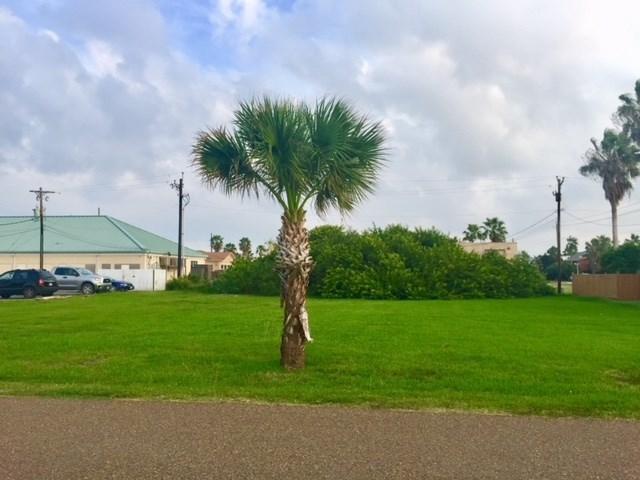Lot 2,3 Atol St. - Photo 1