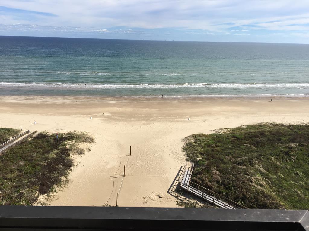 310 Padre Blvd. - Photo 1
