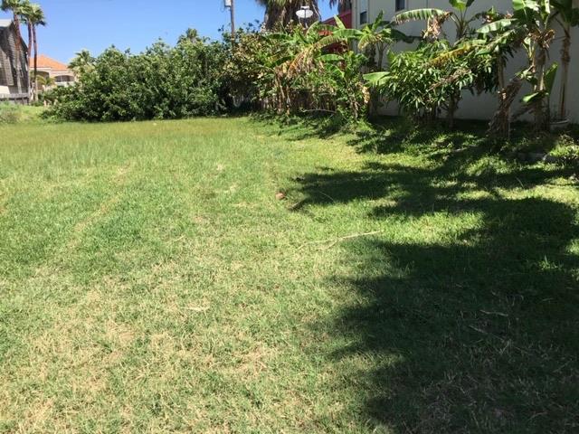 124 Campeche St. - Photo 1