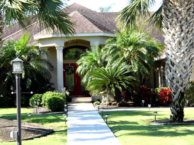 32 Ocelot Trail - Photo 1