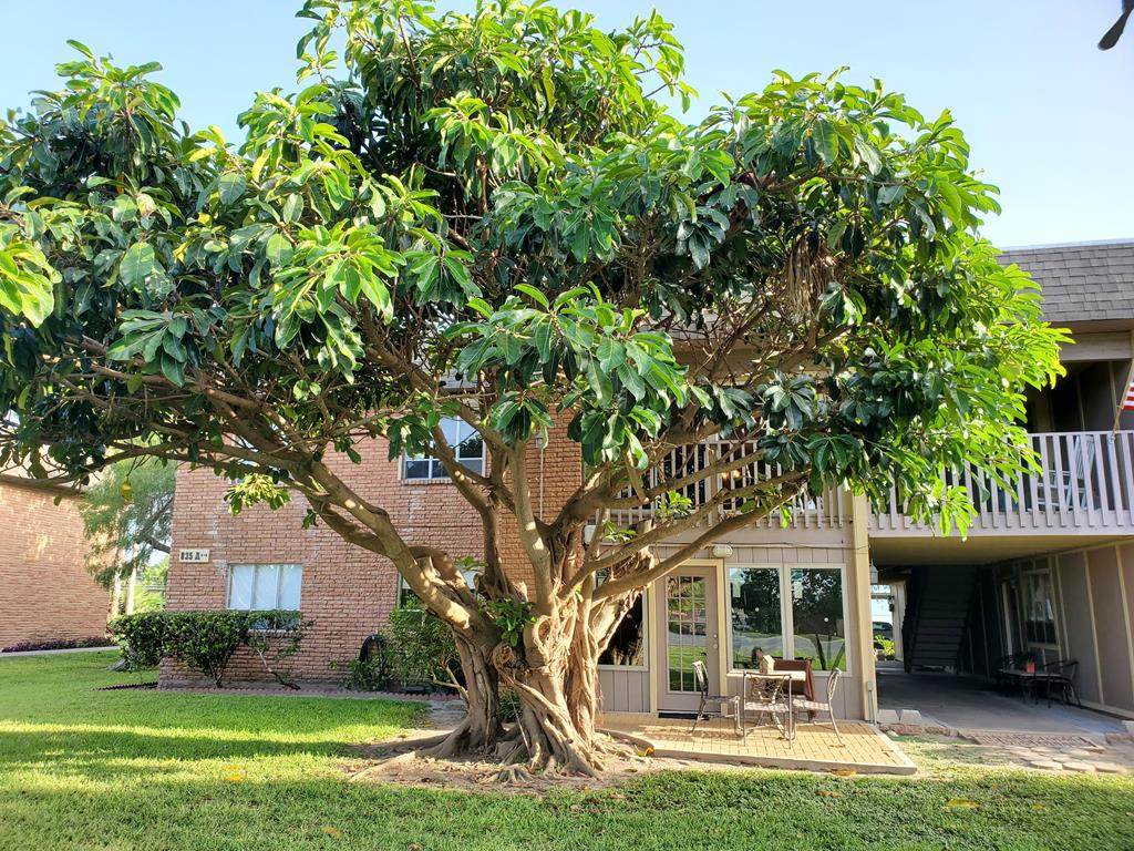 835 Santa Isabel Blvd. - Photo 1