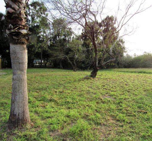 109 Pompano St. - Photo 1