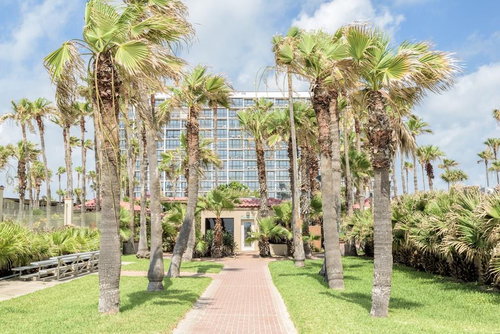 500 Padre Blvd. - Photo 1