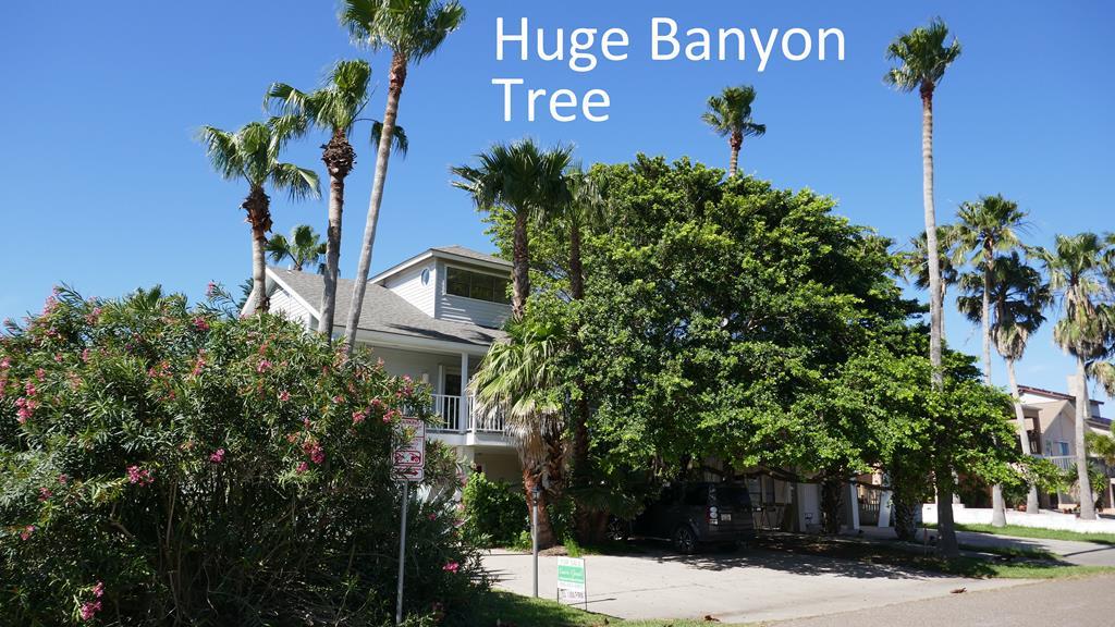 208 Cora Lee Dr. - Photo 1